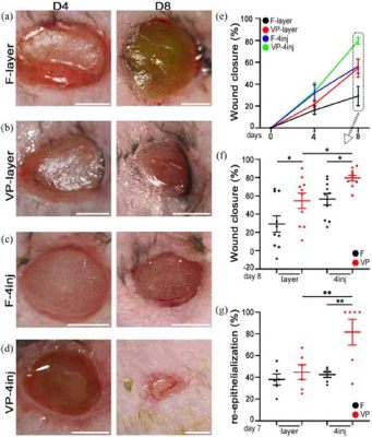  Fibrin - Dokularda İyileşmeyi Hızlandıran ve Biyouyumlu Bir Malzeme!