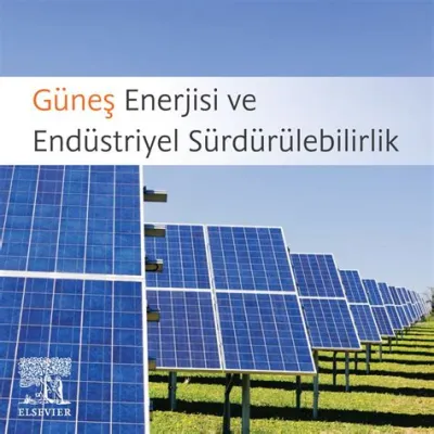  Kokal Kullanımı: Güçlü Bir Enerji Kaynağı mı Yoksa Ortamın Doygunlaşmasını Sağlayan Gizli Kahraman mı?