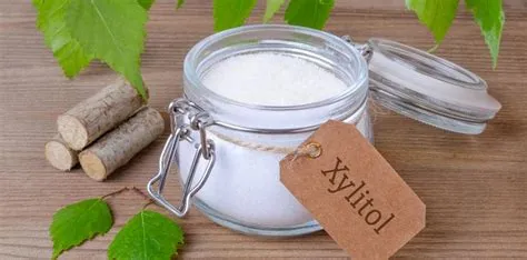 Xylitol: Yenilenebilir Bir Enerji Kaynağı mı Yoksa Tatlı Bir Aldatmaca mı?!